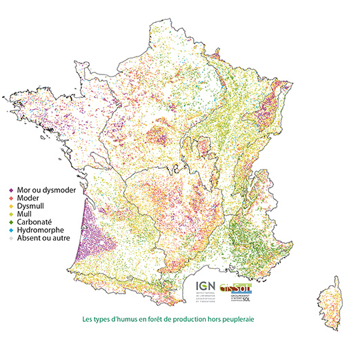 Cartes des forêts de France